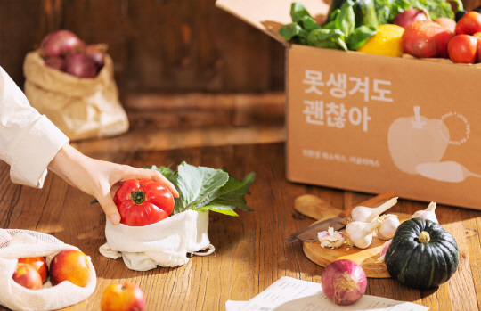 어글리어스 마켓을 통해 판매되는 정기배송 박스와 품목들 [캐비지 제공]